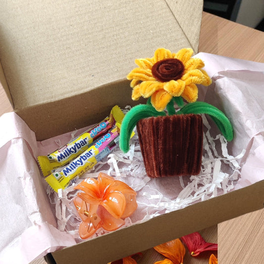 Thoughtful Rakshabandhan Hampers Your Sister Will Adore (2025 Edition)