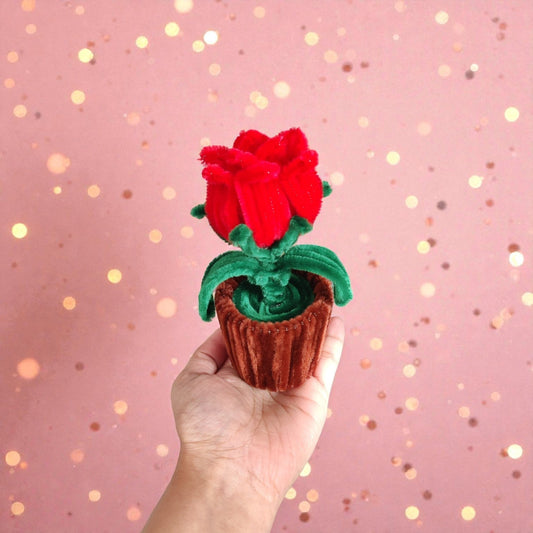 Love Rosette: A Mini Forever Rose Pot That Never Stops Blooming